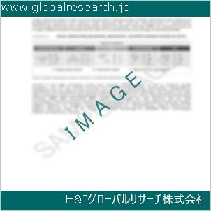 グローバルリサーチ調査資料のイメージ